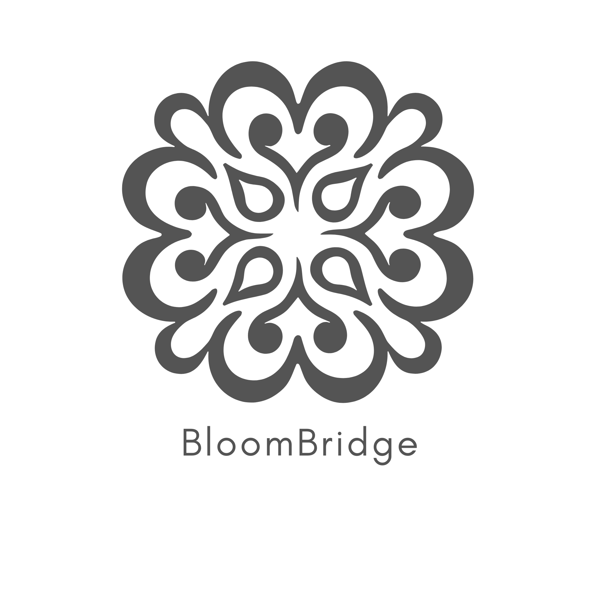 BloomBridge 